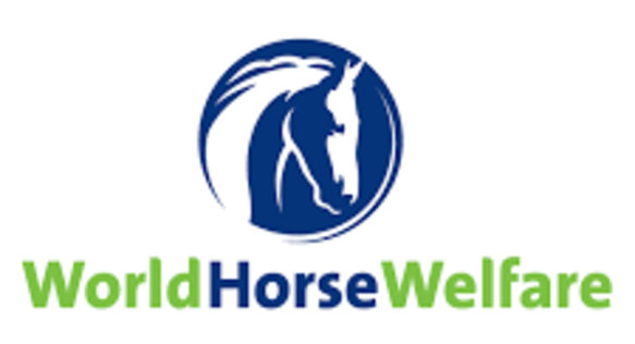 World Horse Welfare